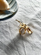 Anillo Santa Rosa