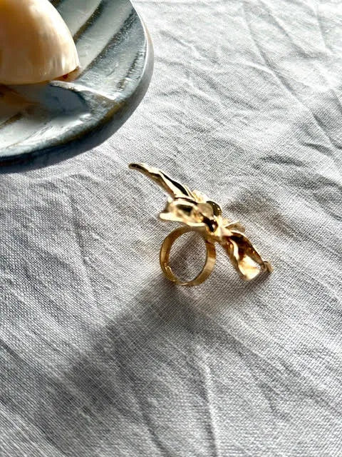 Anillo Santa Rosa