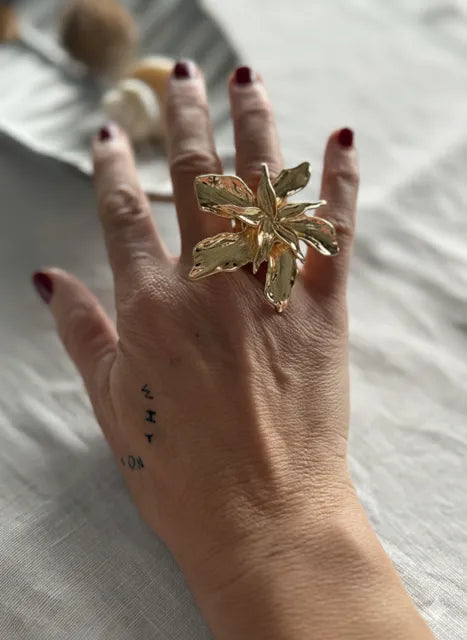 Anillo Santa Rosa
