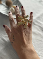 Anillo Santa Rosa