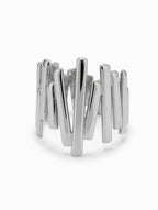 Anillo Delfos