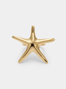 Anillo Estrella Mar